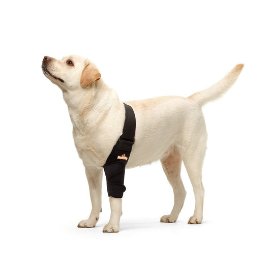 NeoAlly Elbow and Shoulder Brace for Dogs and Cats