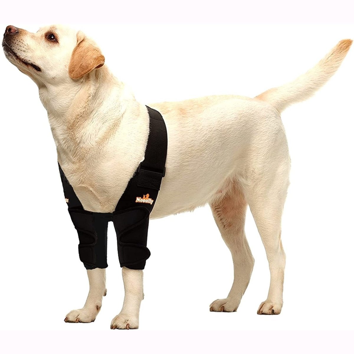 NeoAlly Elbow and Shoulder Brace for Dogs and Cats