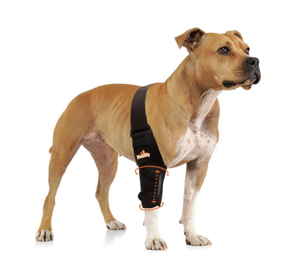 NeoAlly Elbow and Shoulder Brace with Spring Inserts