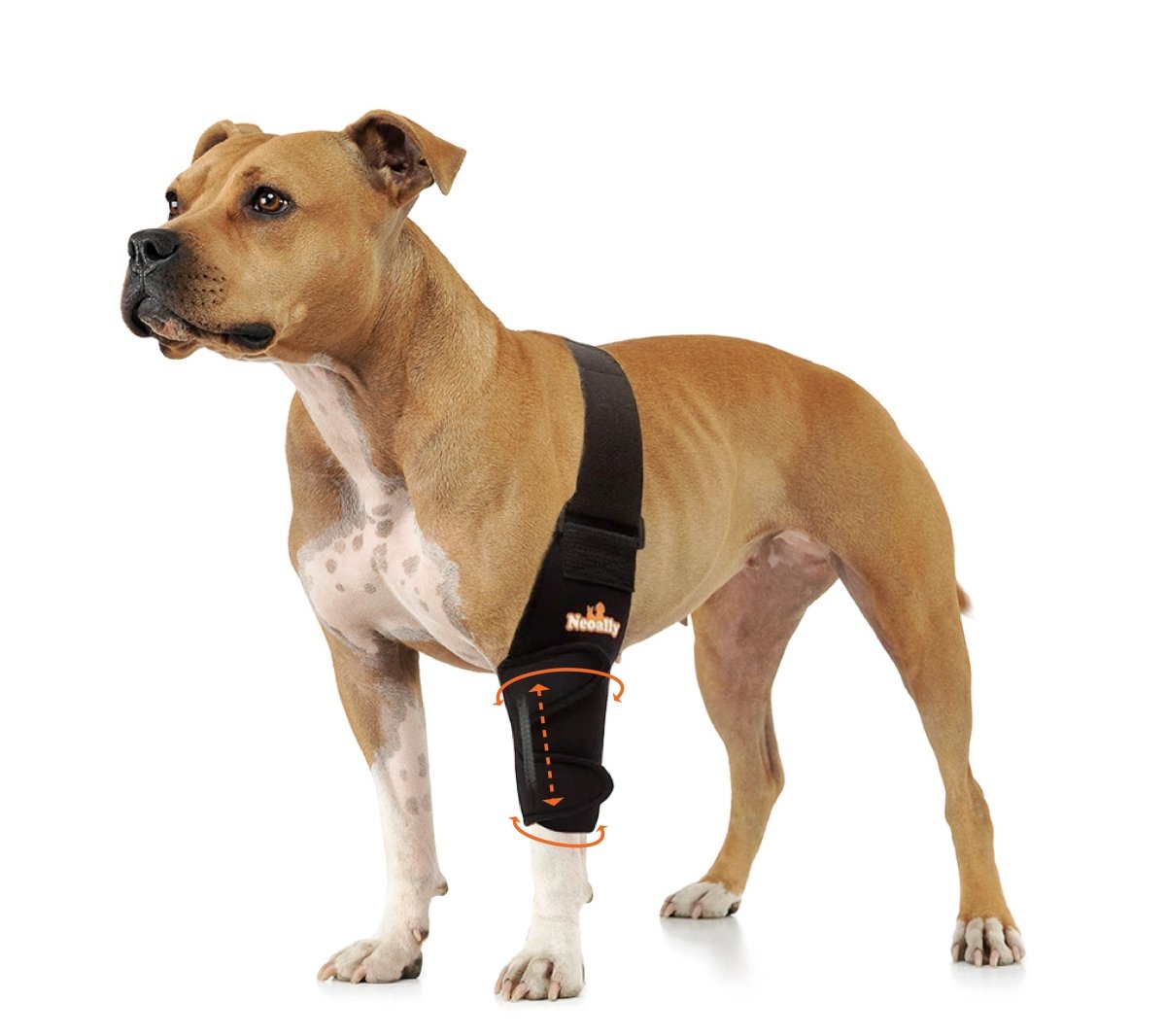 NeoAlly Elbow and Shoulder Brace with Spring Inserts