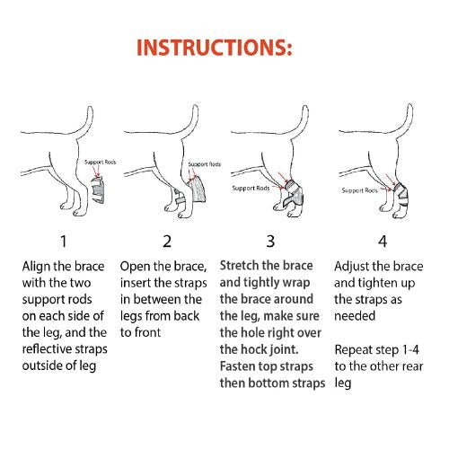 NeoAlly Rear Leg Hock Brace with Spring Strips, Small Dogs