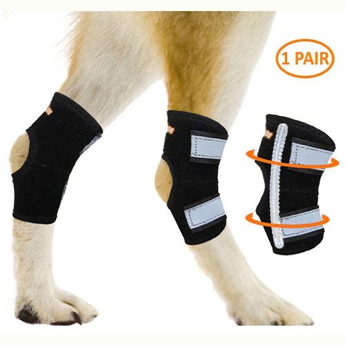 NeoAlly Rear Leg Hock Brace with Spring Strips, Small Dogs