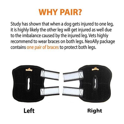 NeoAlly Rear Leg Hock Brace with Spring Strips, Small Dogs