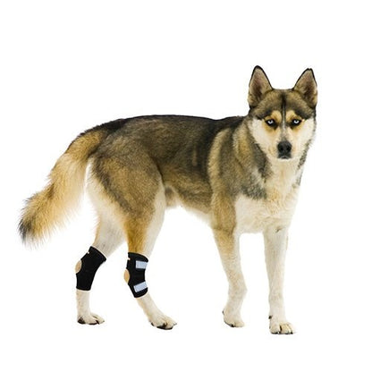 NeoAlly Rear Leg Hock Brace with Spring Strips, Small Dogs