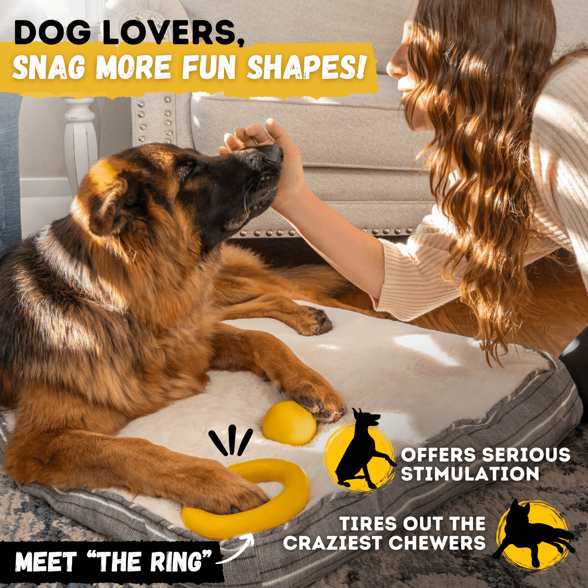 Brute Ball Heavy-Duty Rubber Dog Ball