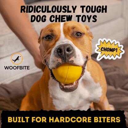 Brute Ball Heavy-Duty Rubber Dog Ball