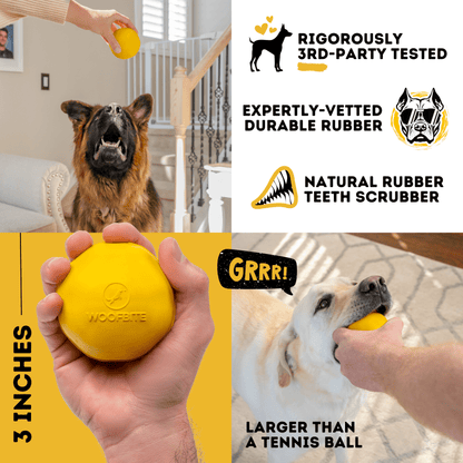 Brute Ball Heavy-Duty Rubber Dog Ball