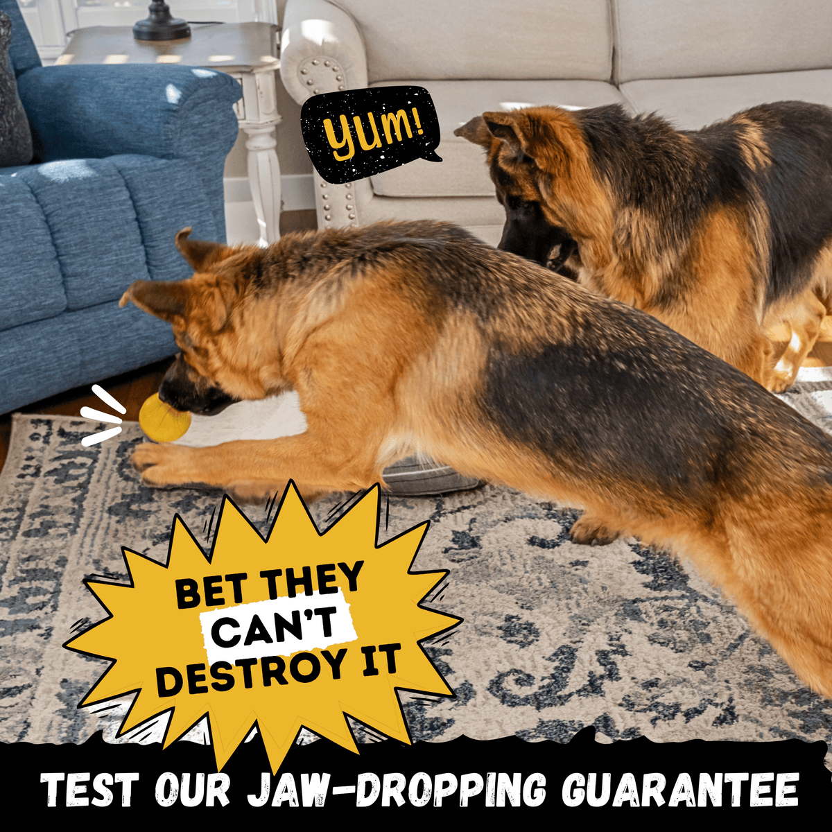 Brute Ball Heavy-Duty Rubber Dog Ball