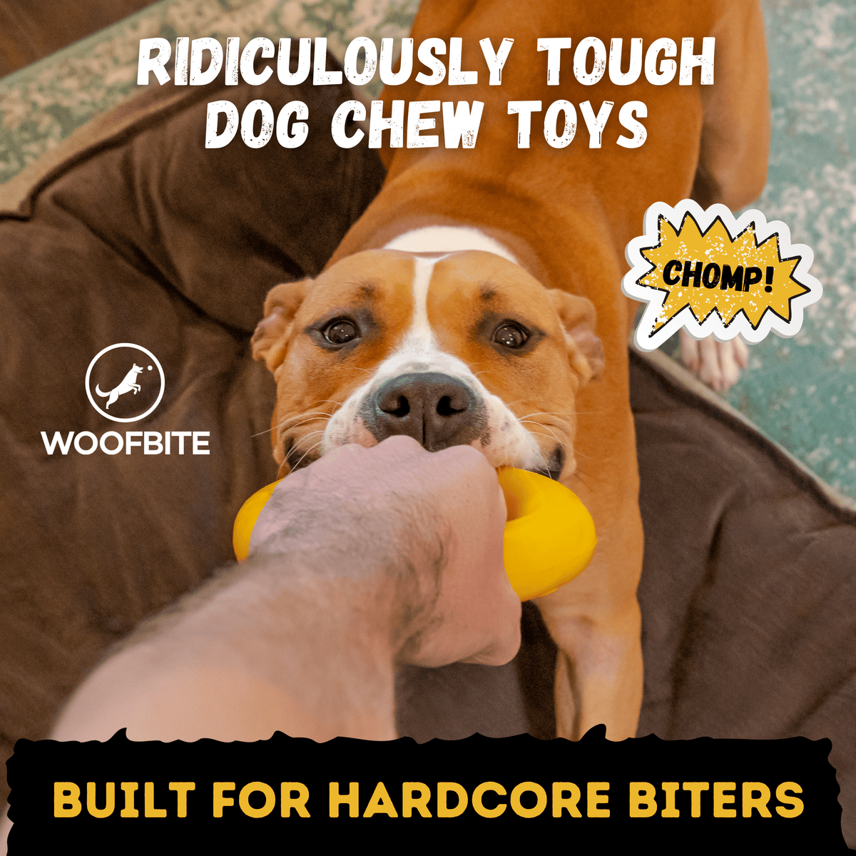 Clutch Ring Heavy-Duty Rubber Tug Ring for Dogs