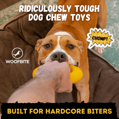 Clutch Ring Heavy-Duty Rubber Tug Ring for Dogs