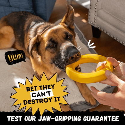 Clutch Ring Heavy-Duty Rubber Tug Ring for Dogs