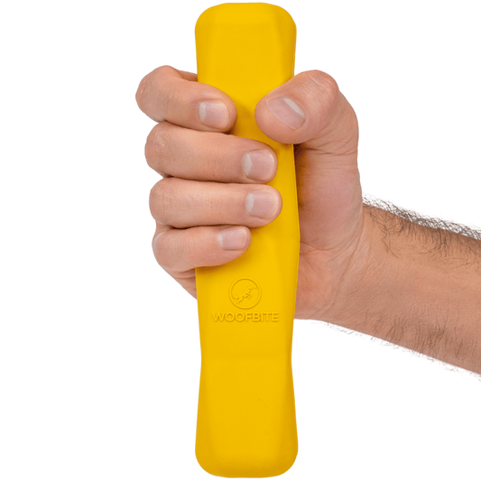 Power Stick Heavy-Duty Rubber Chew Toy for Dogs