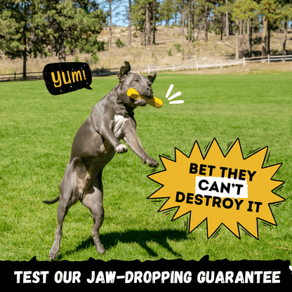 Power Stick Heavy-Duty Rubber Chew Toy for Dogs