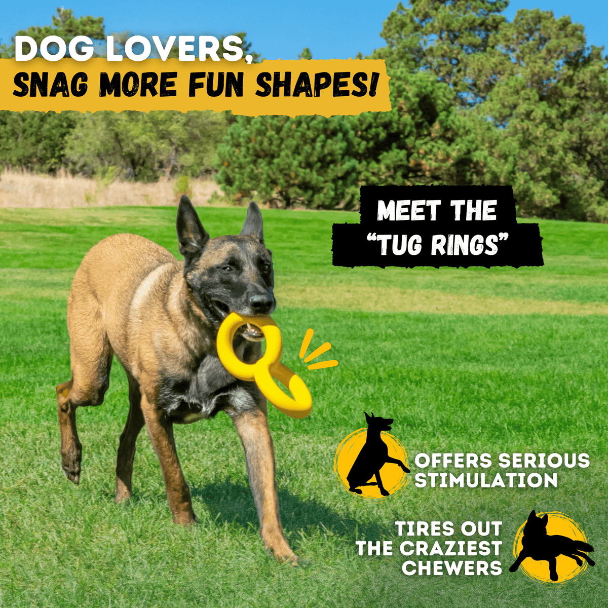 Power Stick Heavy-Duty Rubber Chew Toy for Dogs