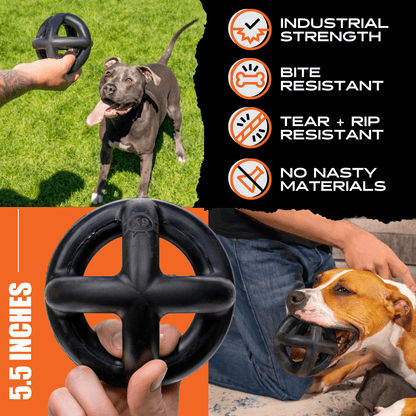 Natural Rubber Ring Ball Dog Toy for Strong Chewers
