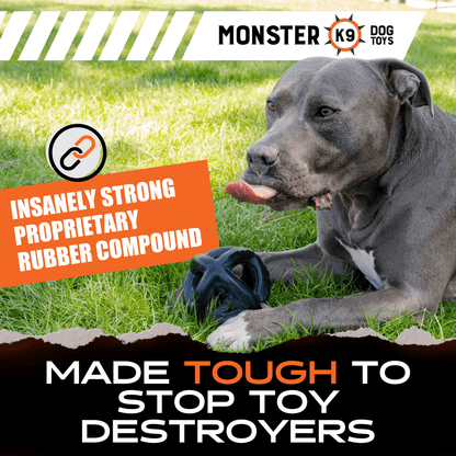 Natural Rubber Ring Ball Dog Toy for Strong Chewers