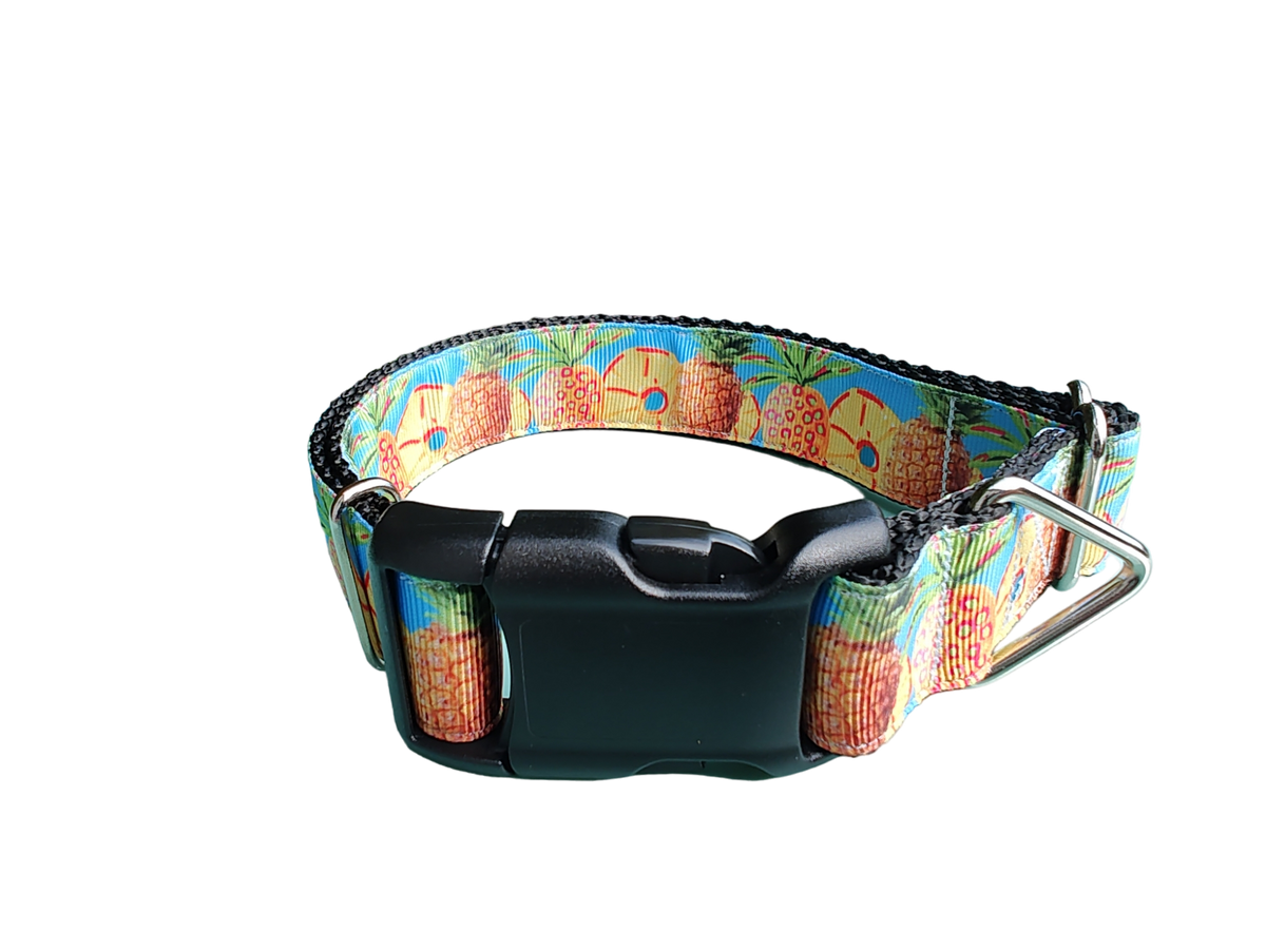 Pineapple Nylon Dog Collar