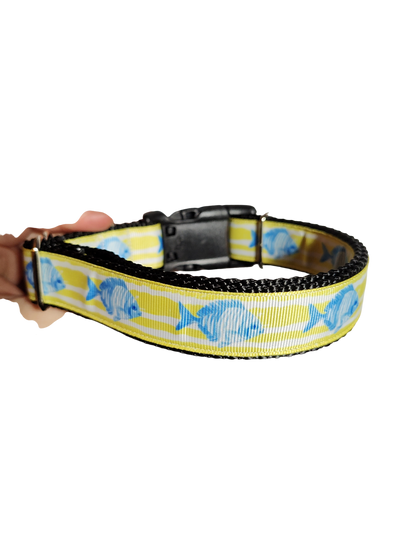 Fish On Yellow Stripes Nylon Dog Collar