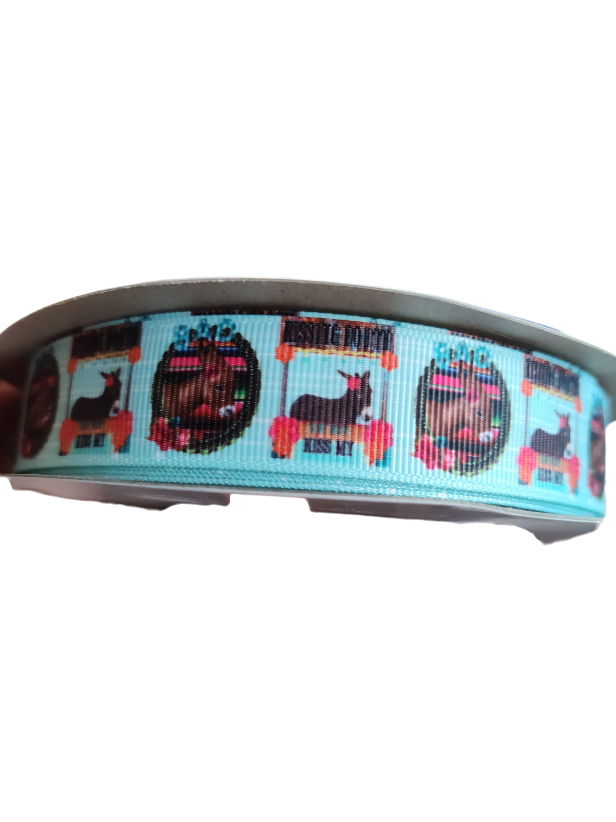 Donkey (Ass) Kissing Booth Nylon Dog Collar