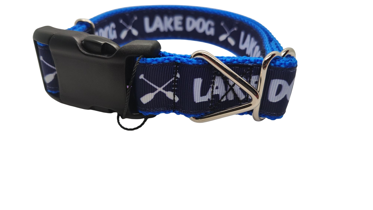Lake Dog Blue Nylon Dog Collar