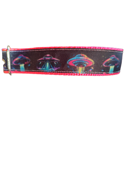 Neon UFO Nylon Dog Collar
