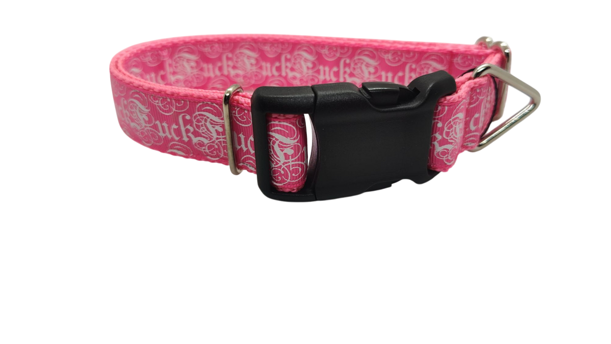Fuck Pink Nylon Dog Collar