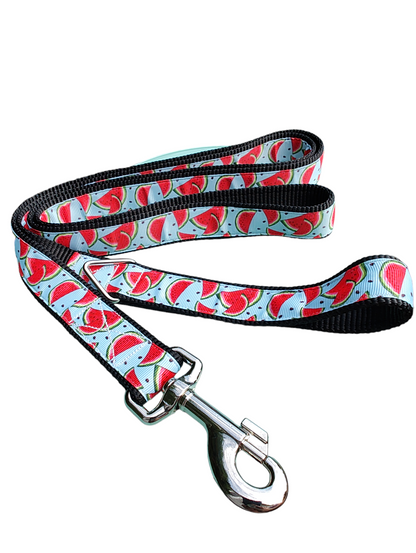 Watermelon Slices Nylon Dog Collar