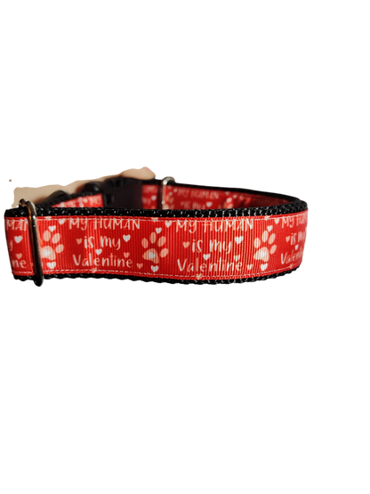 My Human Is My Valentine Nylon Dog Collar