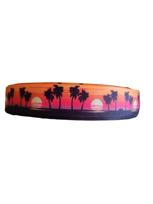 Beach Sunsets Nylon Dog Collar