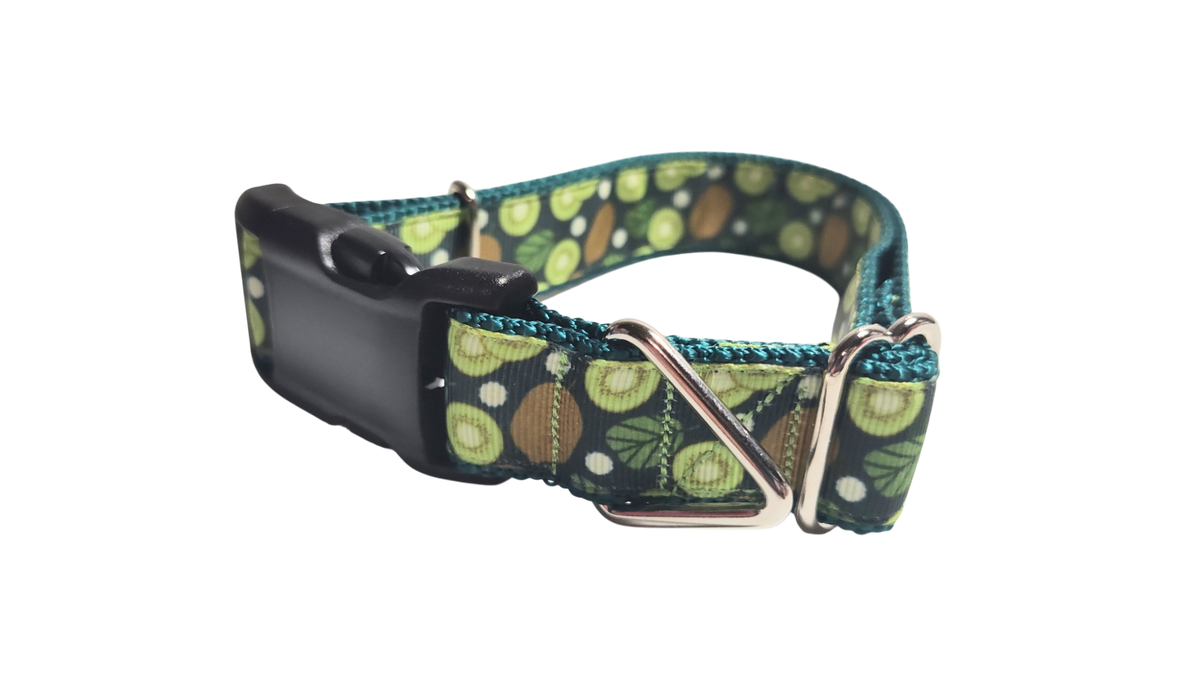 Kiwi Fruit Nylon Dog Collar