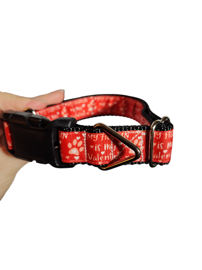 My Human Is My Valentine Nylon Dog Collar