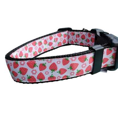 Strawberry Flowers Black Nylon Dog Collar MD, LG, XL, Leash