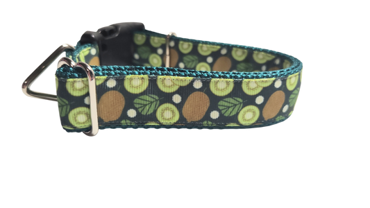 Kiwi Fruit Nylon Dog Collar
