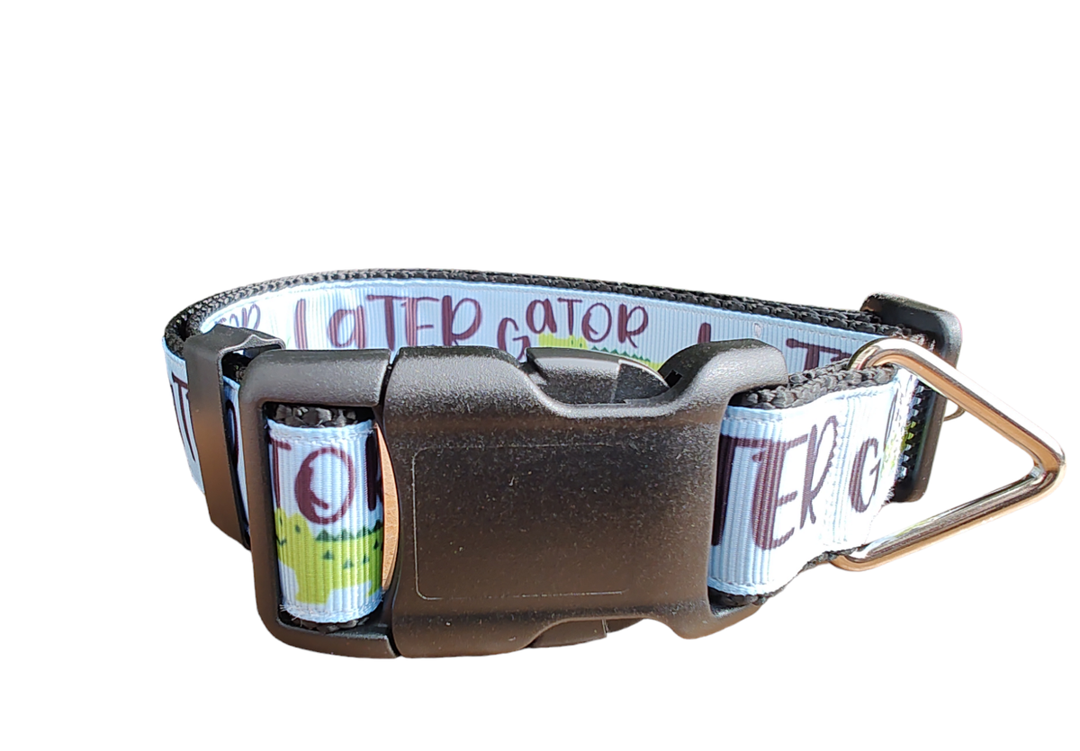 Later Gator Black Nylon Dog Collar MD, LG, XL, Leash