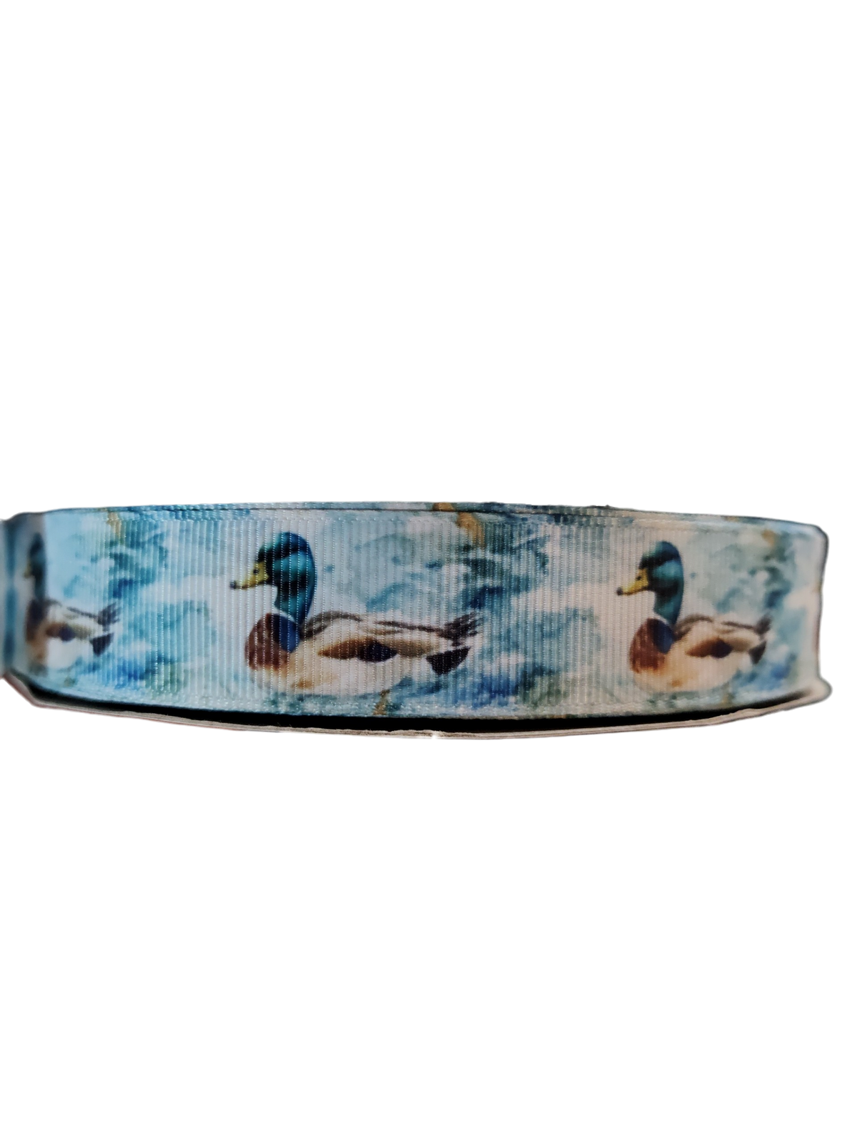 Watercolor Mallard Duck Nylon Dog Collar