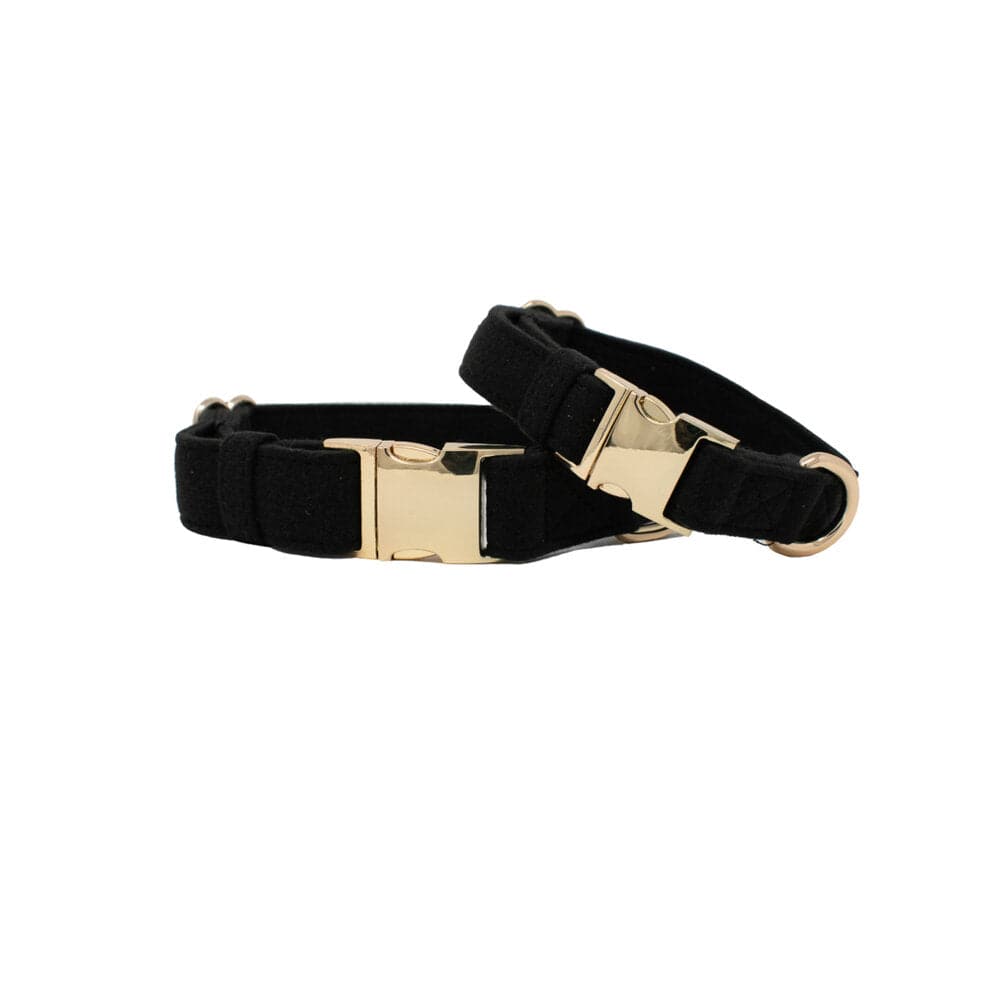 Ryan – Black Dog Collar, Adjustable XS–L
