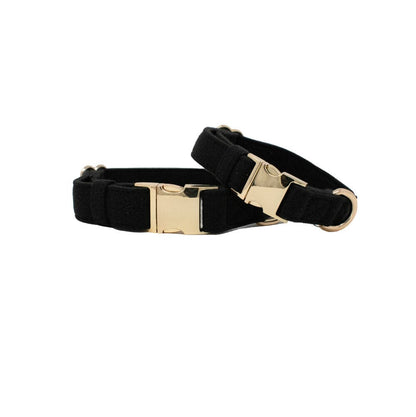 Ryan – Black Dog Collar, Adjustable XS–L