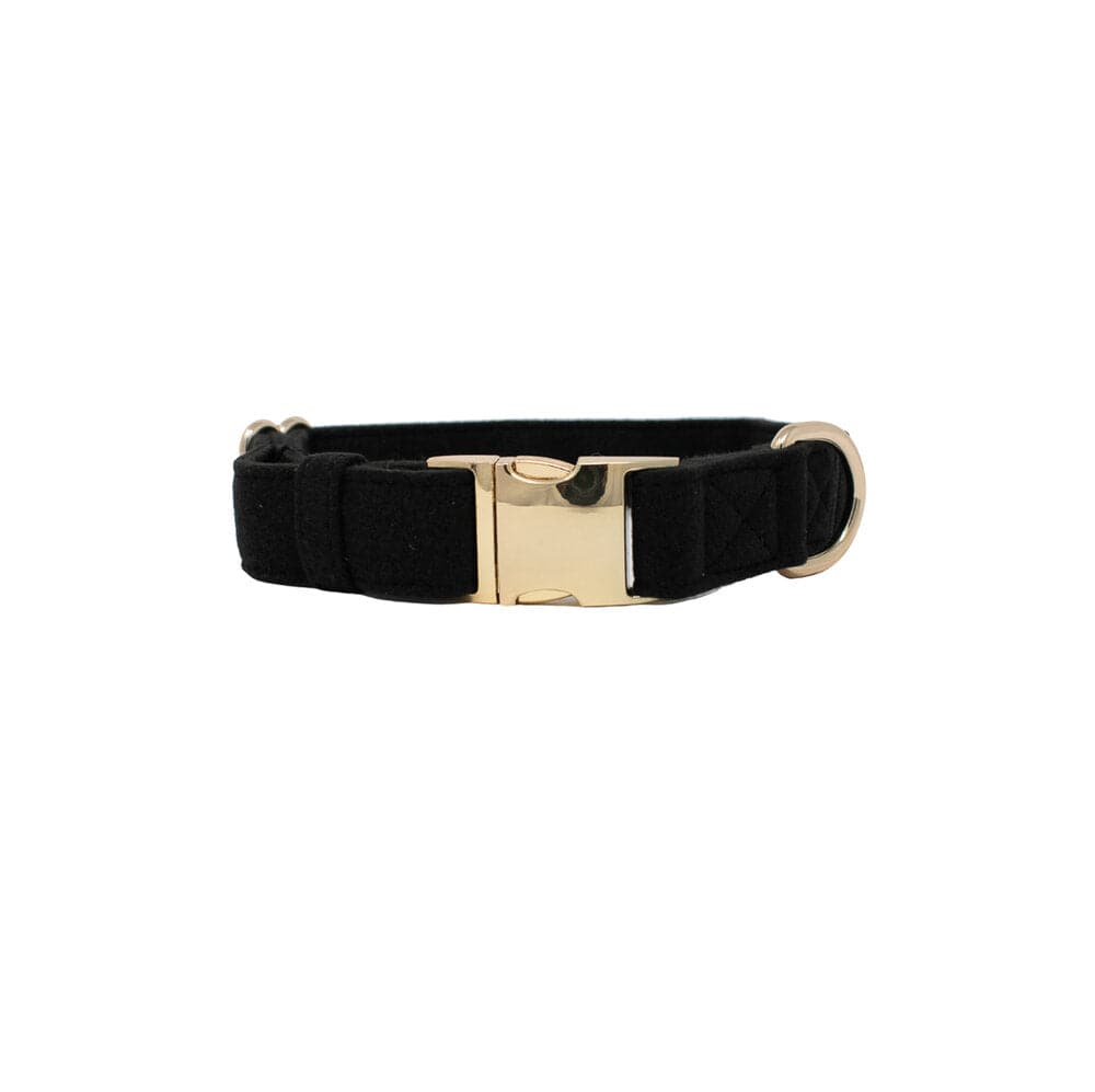 Ryan dog collar — additional photo 2