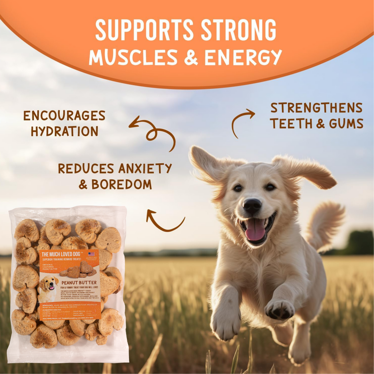 Much Loved Dog Peanut Butter Blast Treat Set