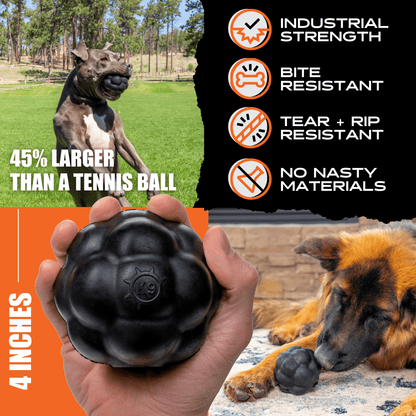 Natural Rubber Rumble Ball Dog Toy for Strong Chewers