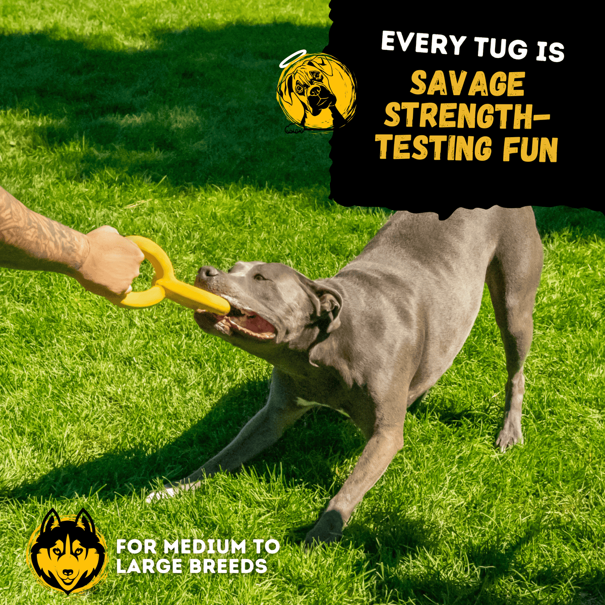 Tug Chain Heavy-Duty Rubber Tug Toy for Dogs
