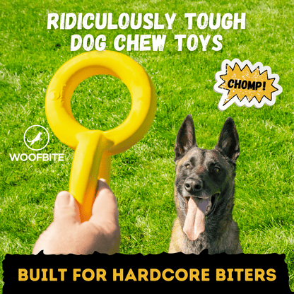 Tug Chain Heavy-Duty Rubber Tug Toy for Dogs