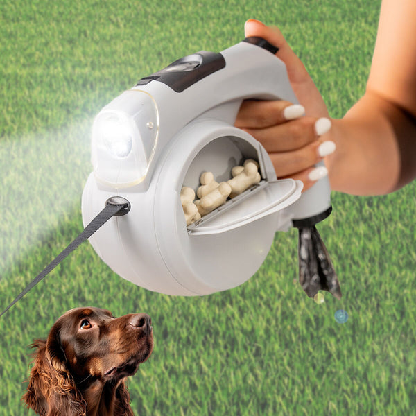 Chien Colliers, harnais et Laisses