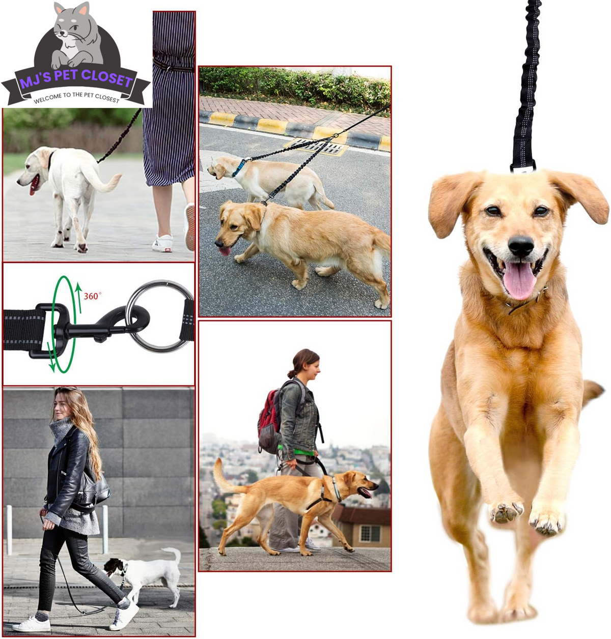 360 Degree Swivel Double Dog Leash, up to 200 lb