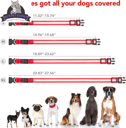 Adjustable Rechargeable LED Dog Collar