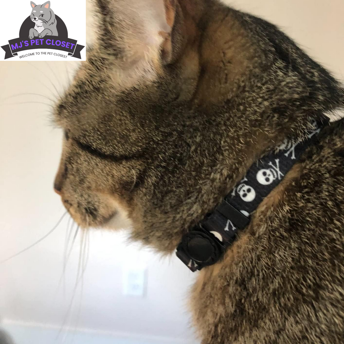 Breakaway Cat Collars, Skull Design, 2 Pack