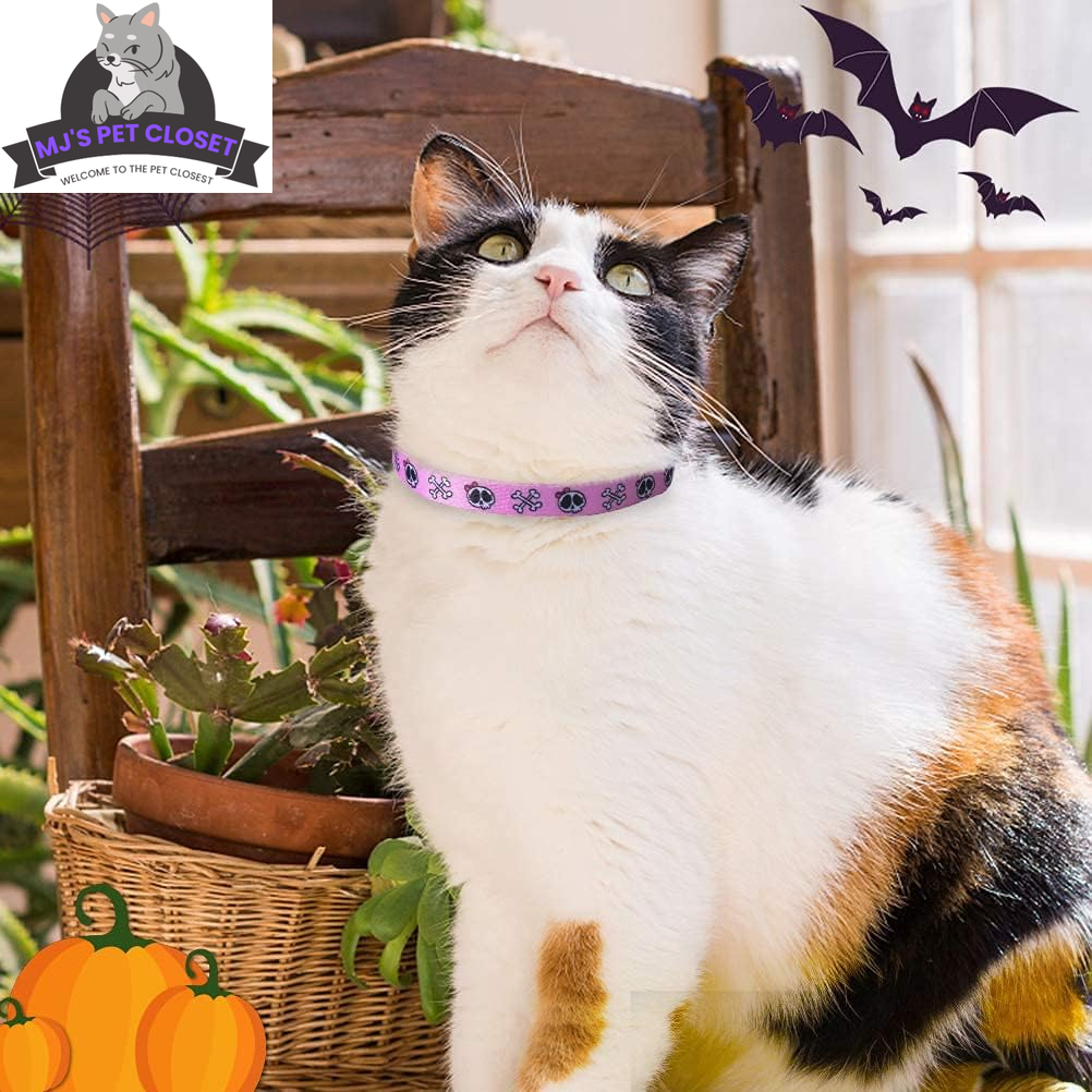 Breakaway Cat Collars, Skull Design, 2 Pack