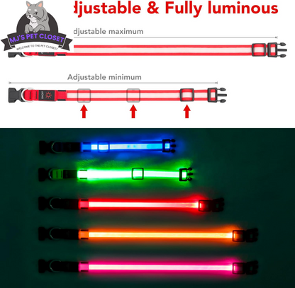 Adjustable Rechargeable LED Dog Collar