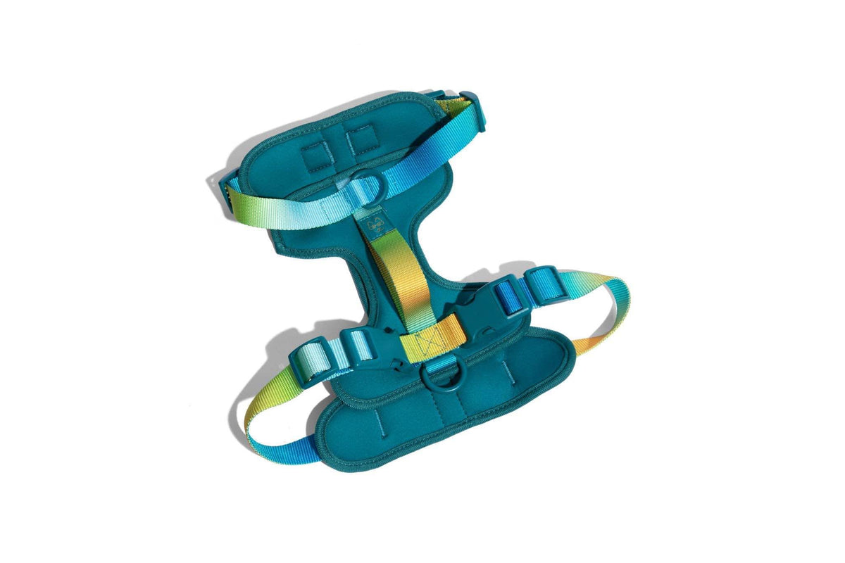 Joey – No-Pull Teal Dog Harness, 3 Leash Rings