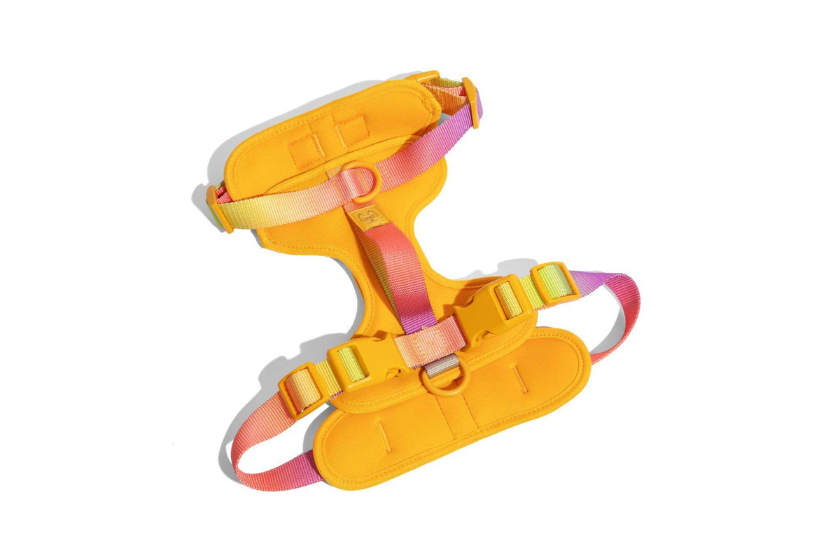 Kenna – No-Pull Yellow Dog Harness, 3 Leash Rings